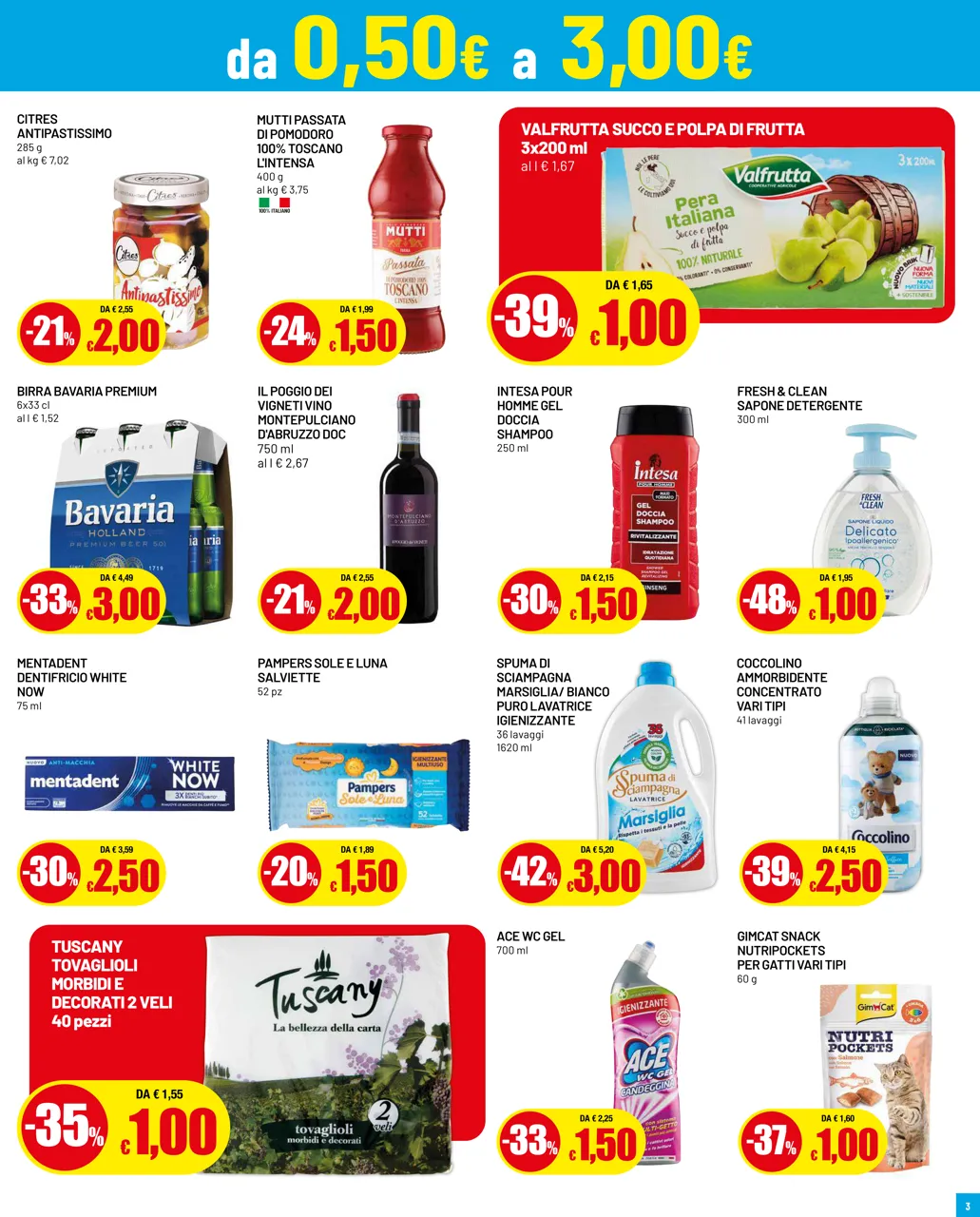 Pagina 3