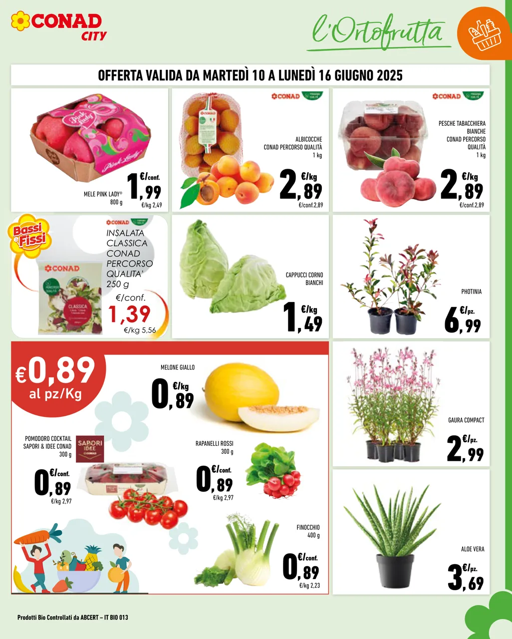 Pagina 3