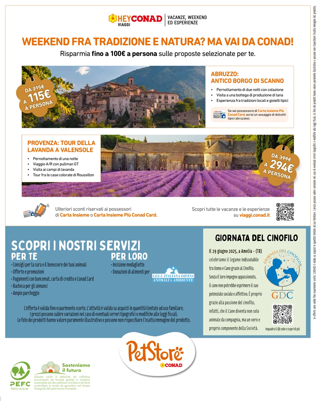 Pagina 8