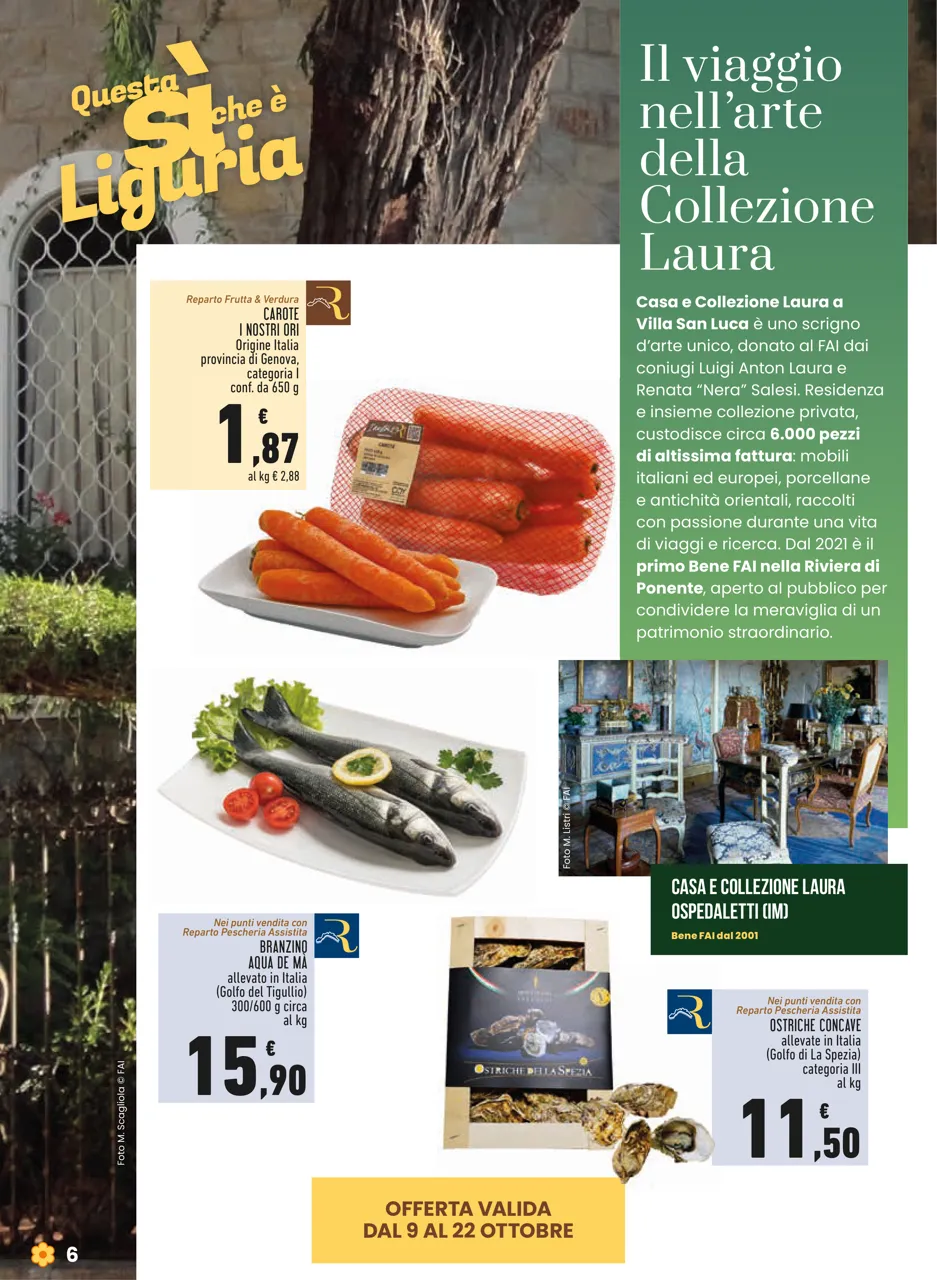 Pagina 6