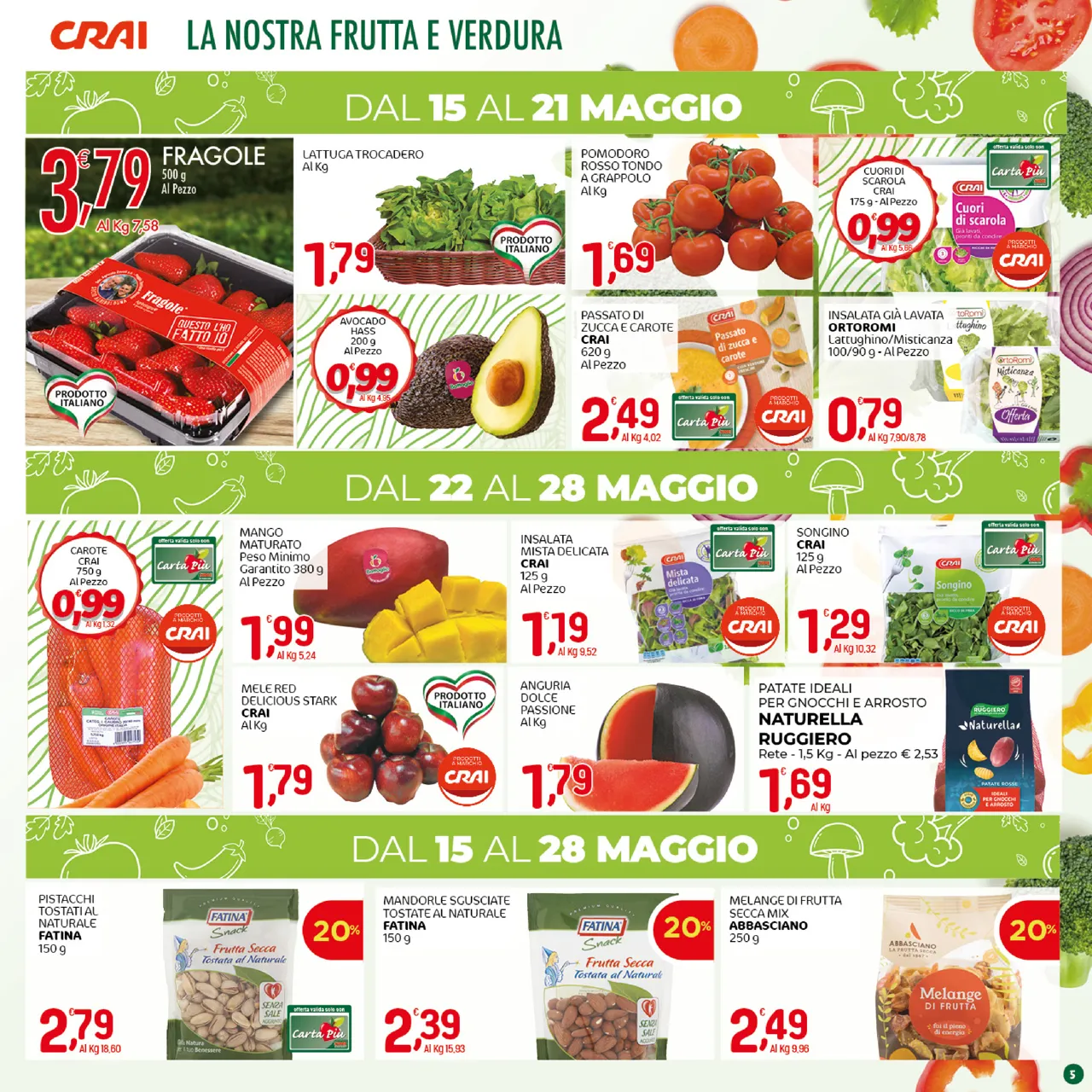 Pagina 5
