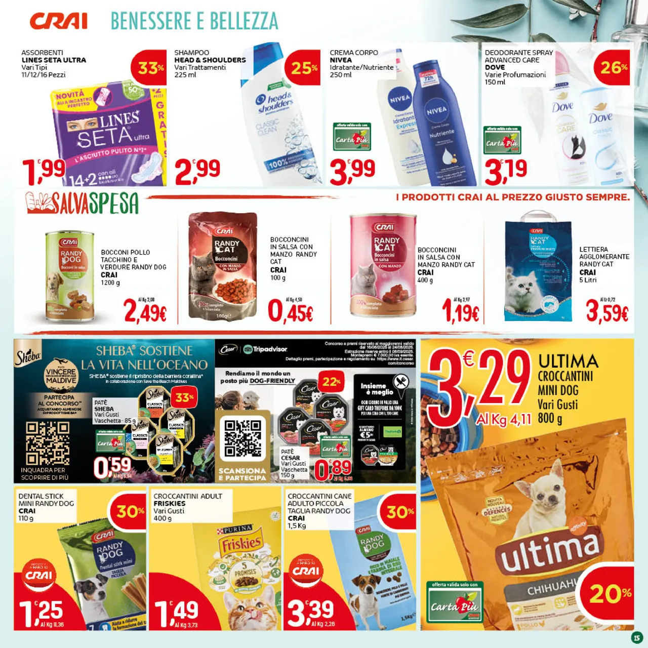 Pagina 15