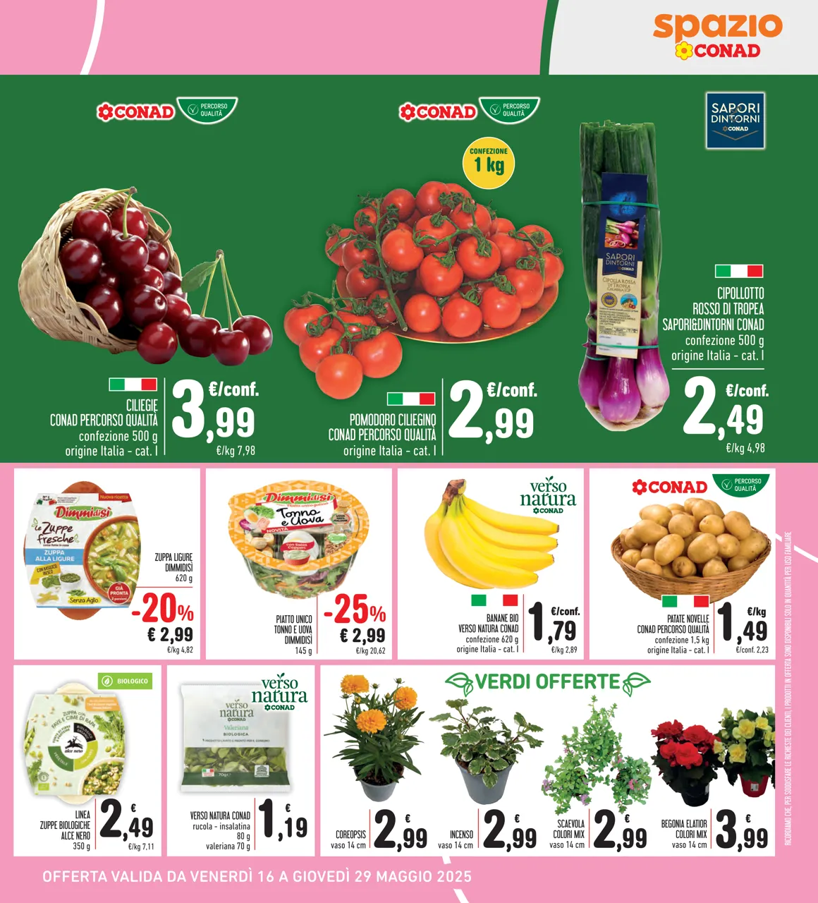 Pagina 7