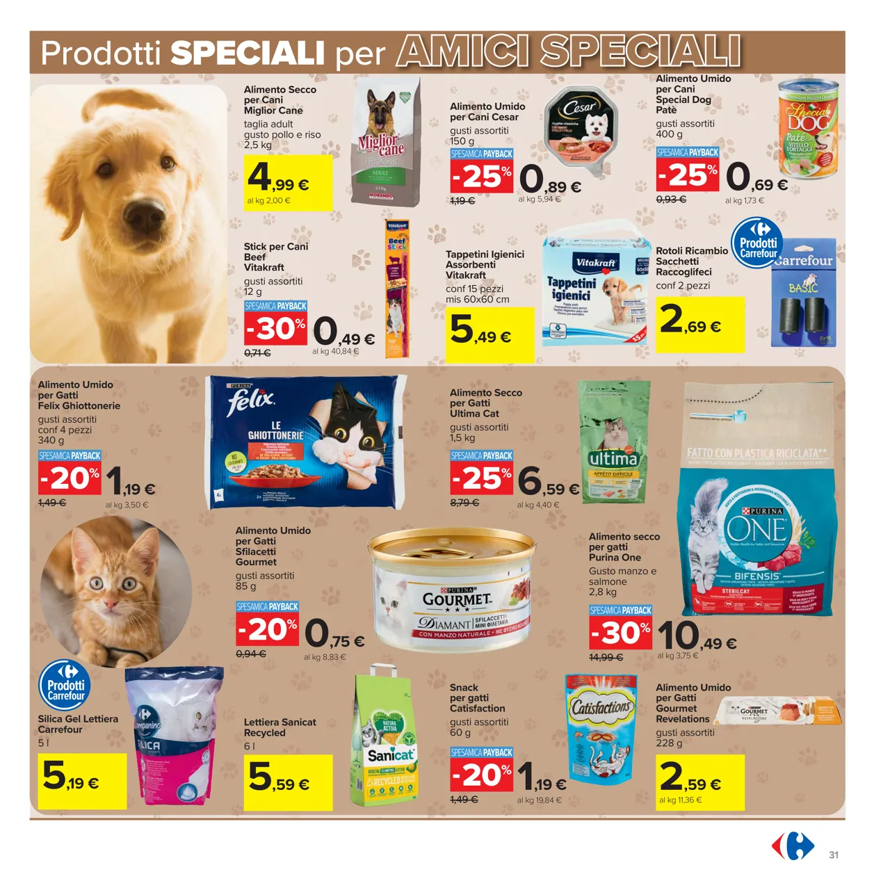 Pagina 31