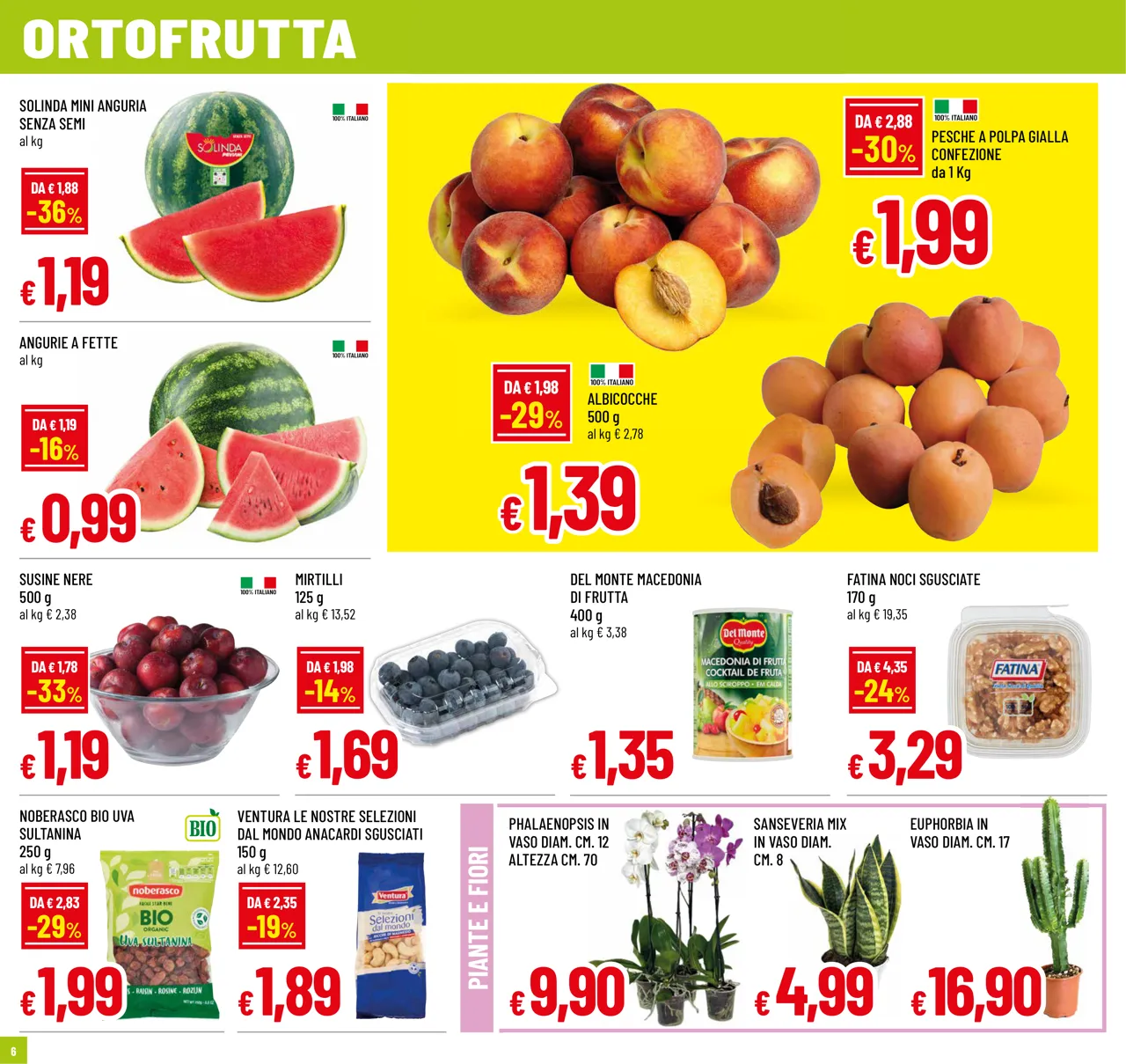 Pagina 6