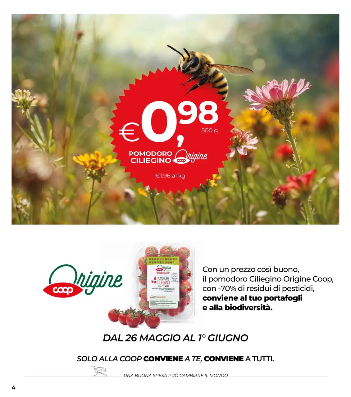 Pagina 4
