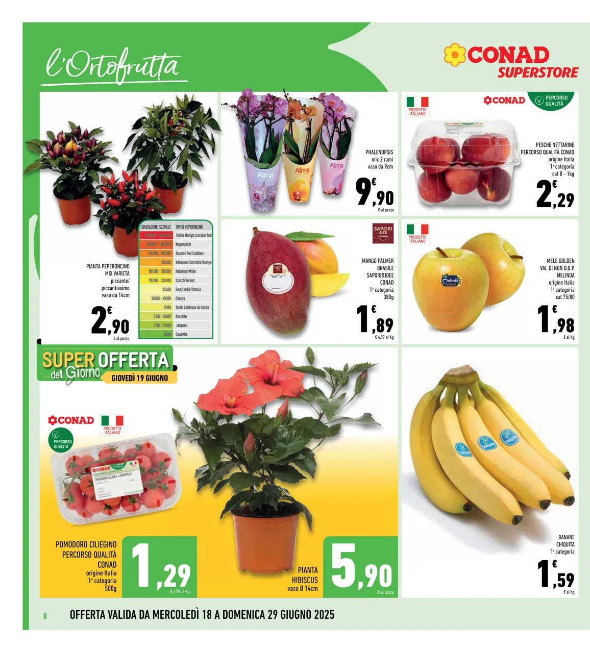 Pagina 8
