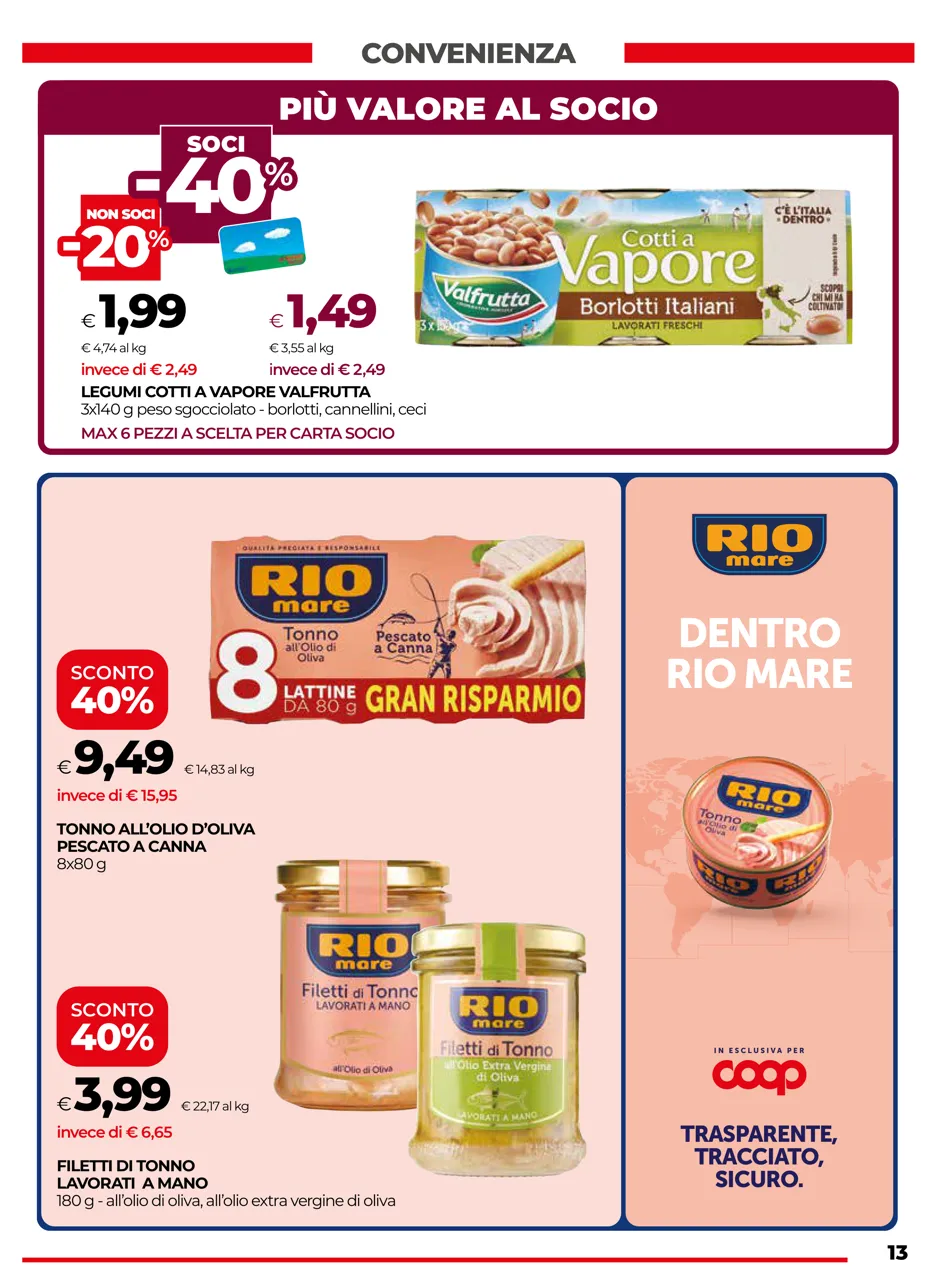 Pagina 13