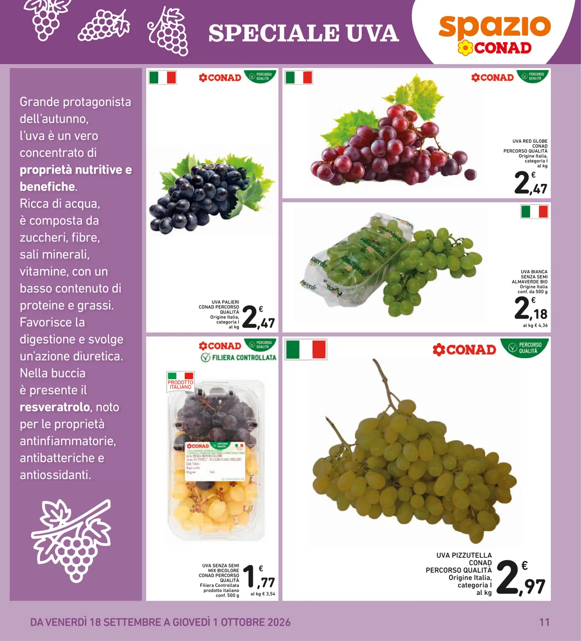 Pagina 11