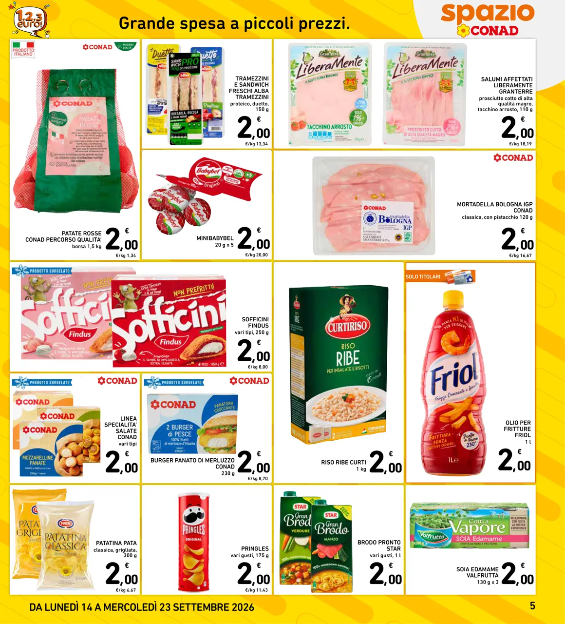 Pagina 5