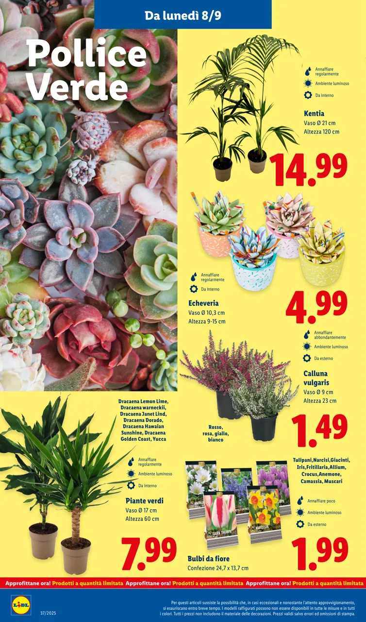 Pagina 28