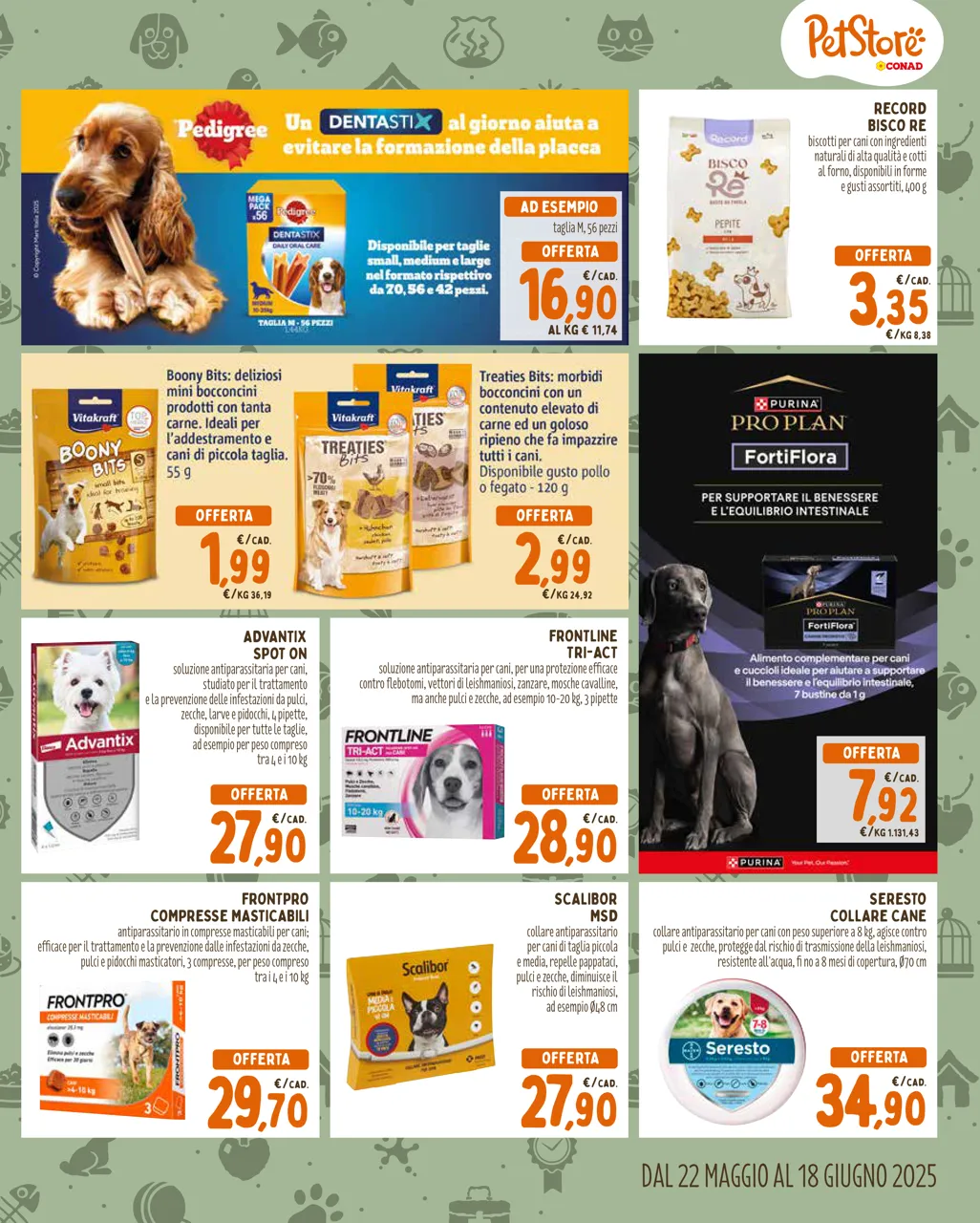 Pagina 3