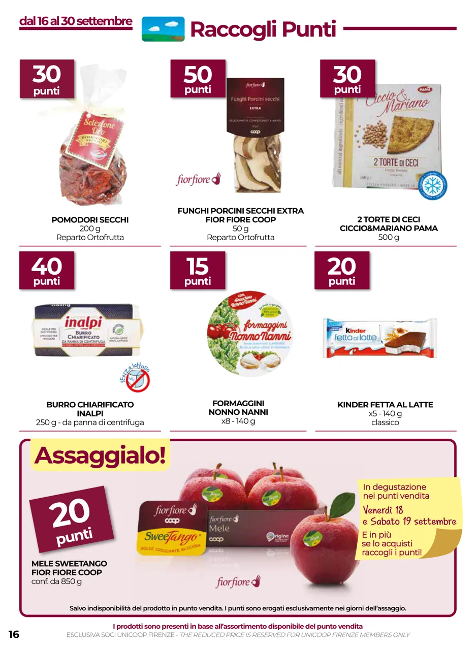 Pagina 16