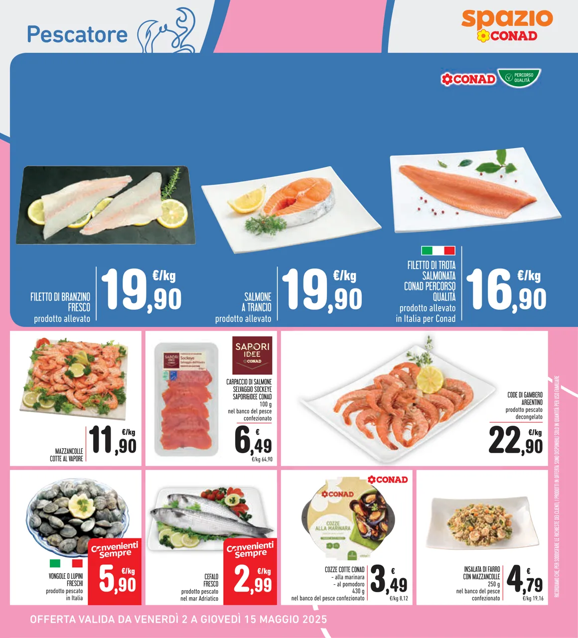 Pagina 31