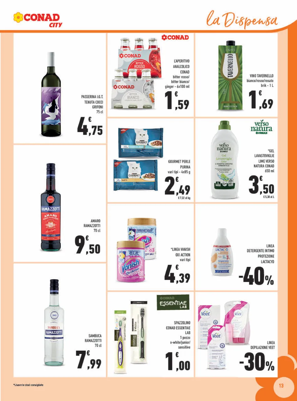 Pagina 13