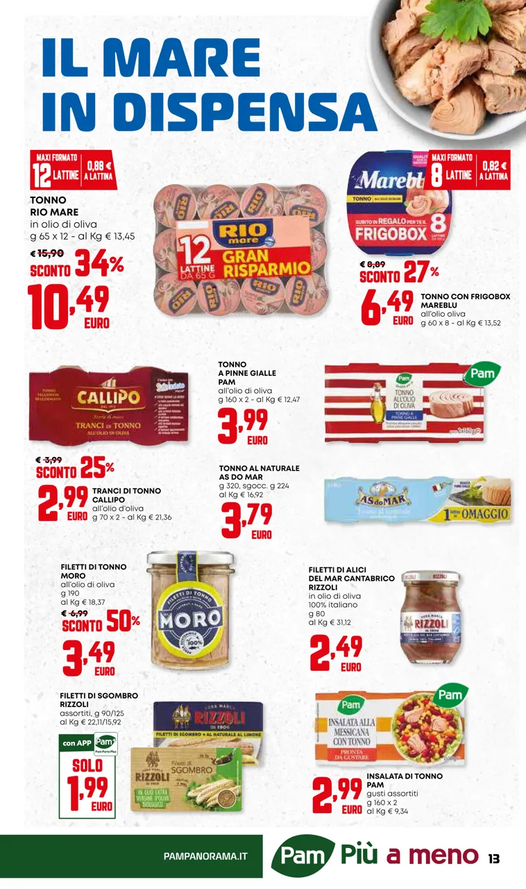 Pagina 13