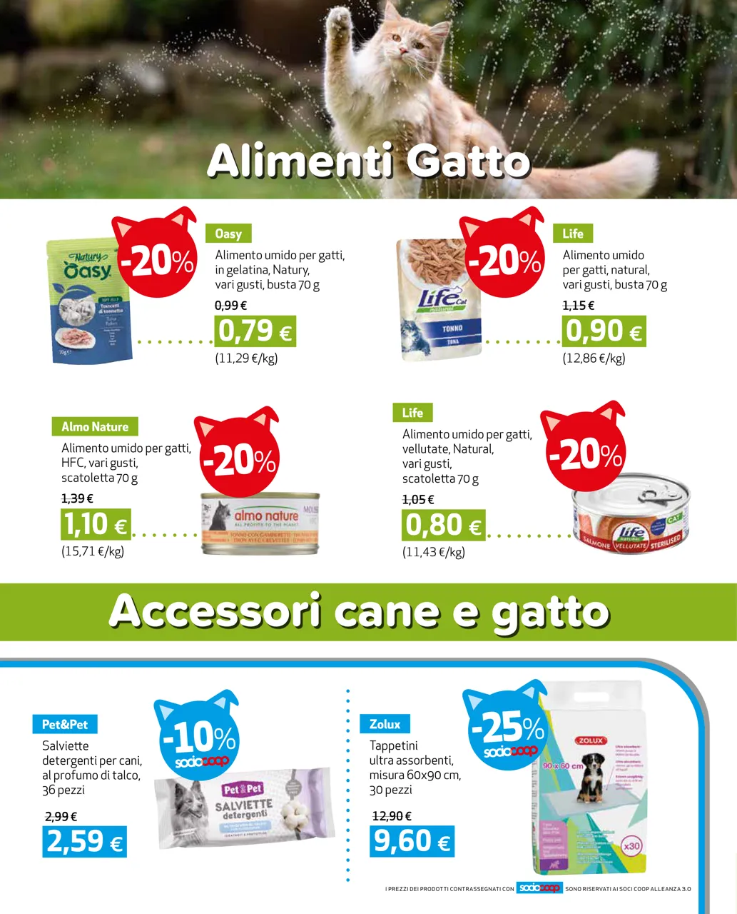 Pagina 8