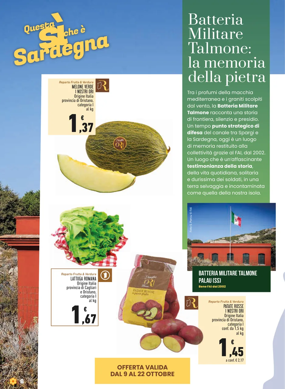Pagina 8