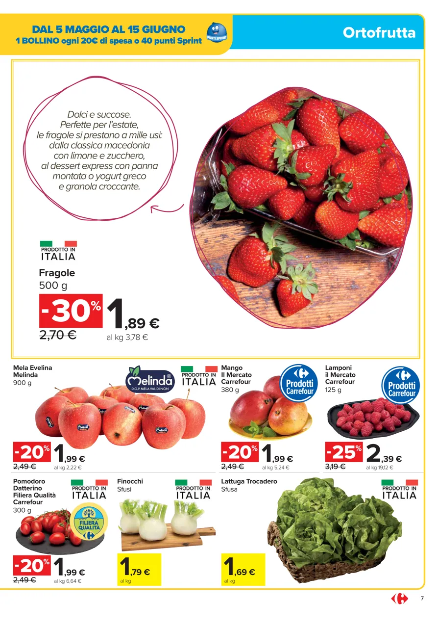 Pagina 7
