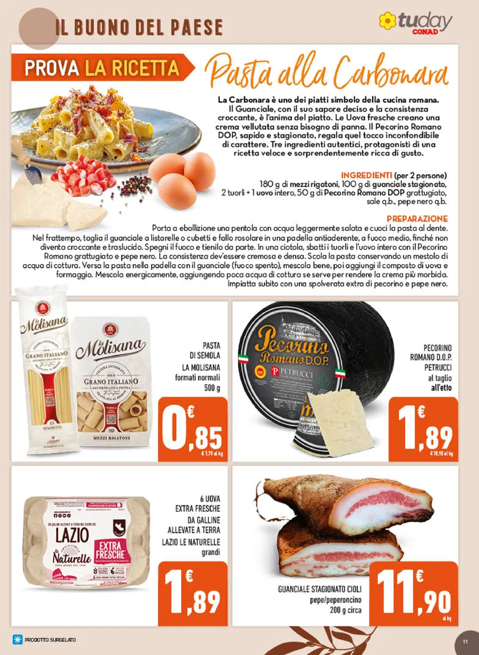 Pagina 11