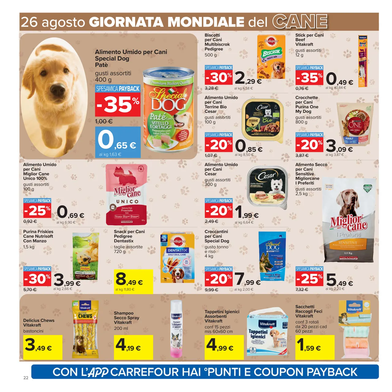 Pagina 22