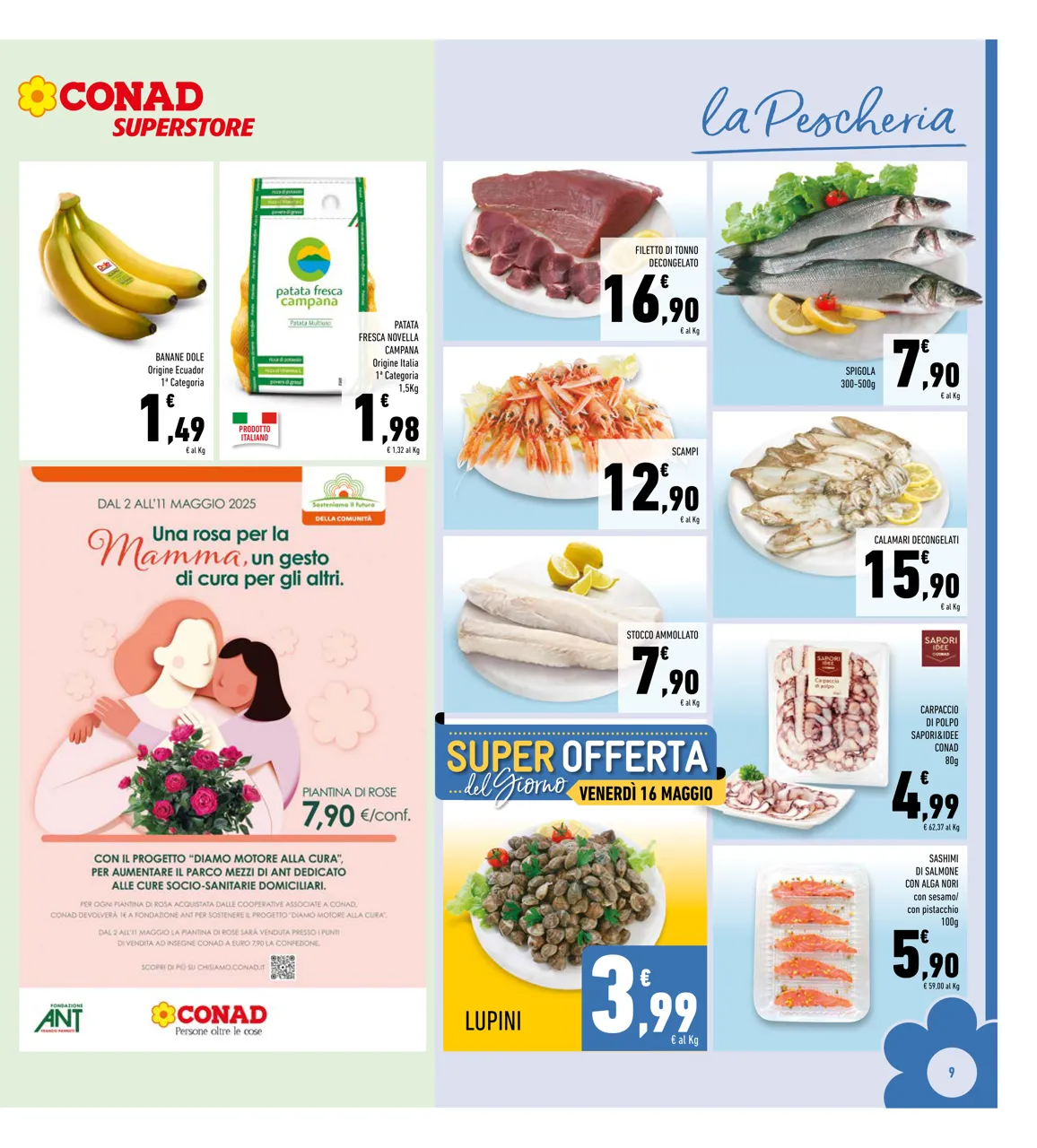 Pagina 9