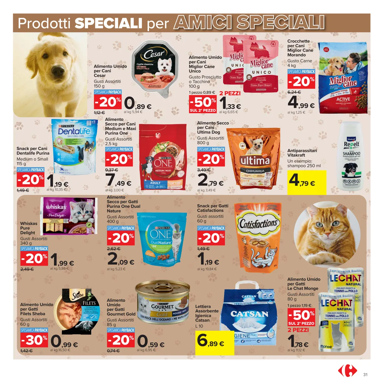 Pagina 31
