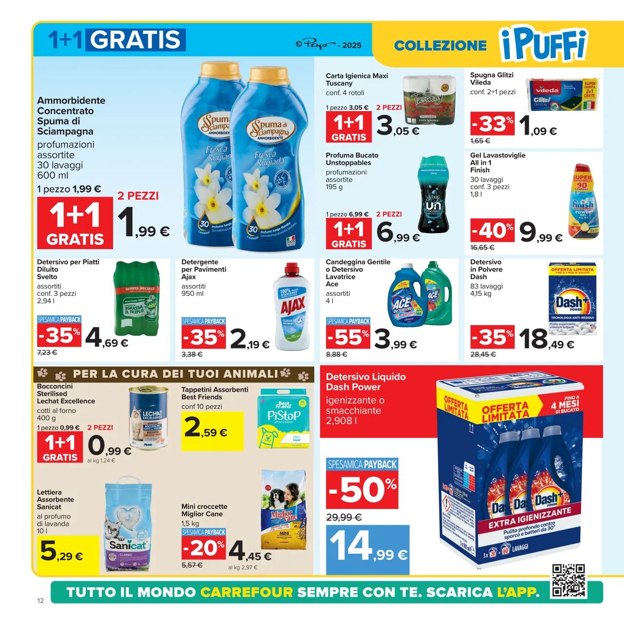 Pagina 12