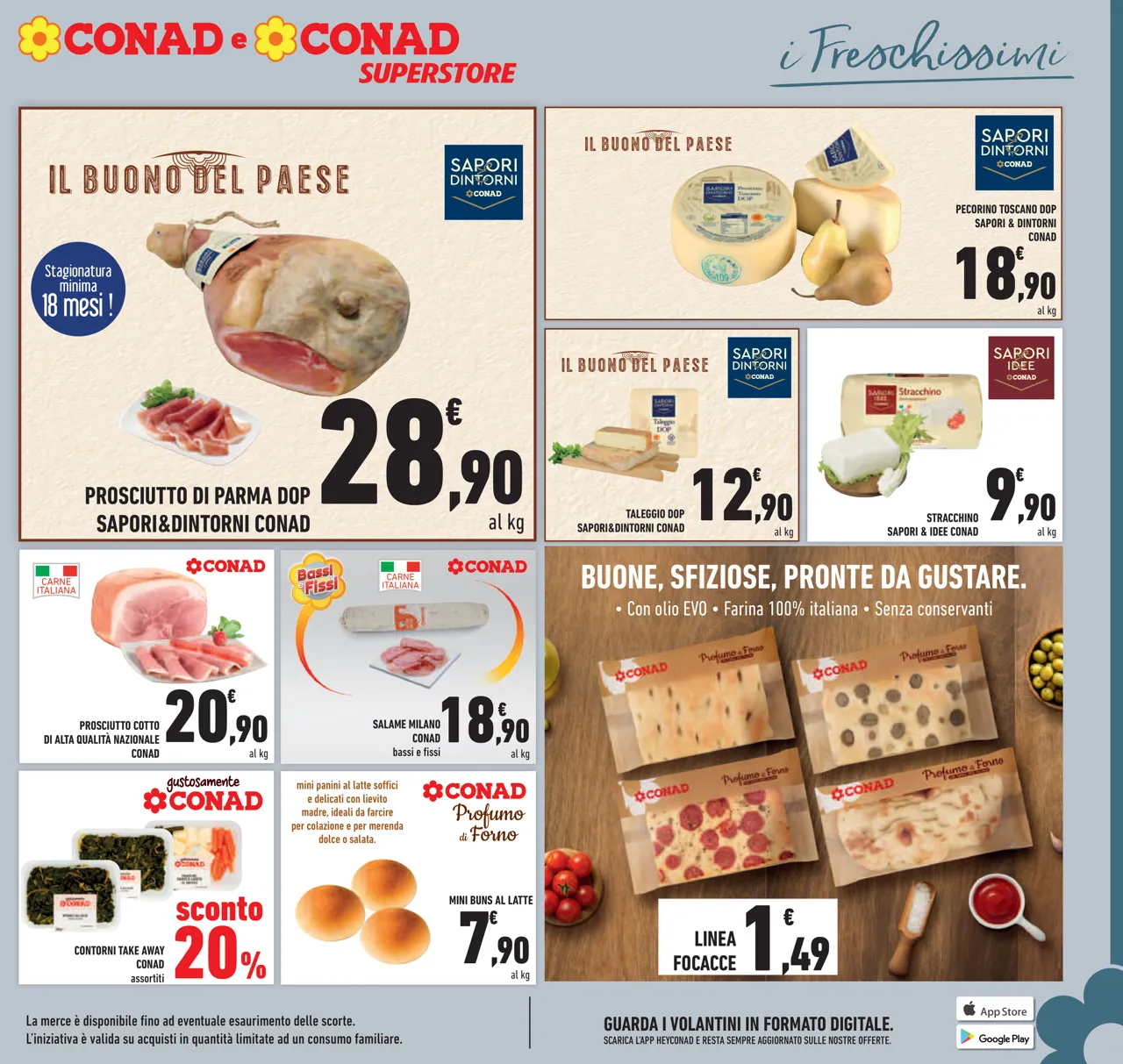 Pagina 13