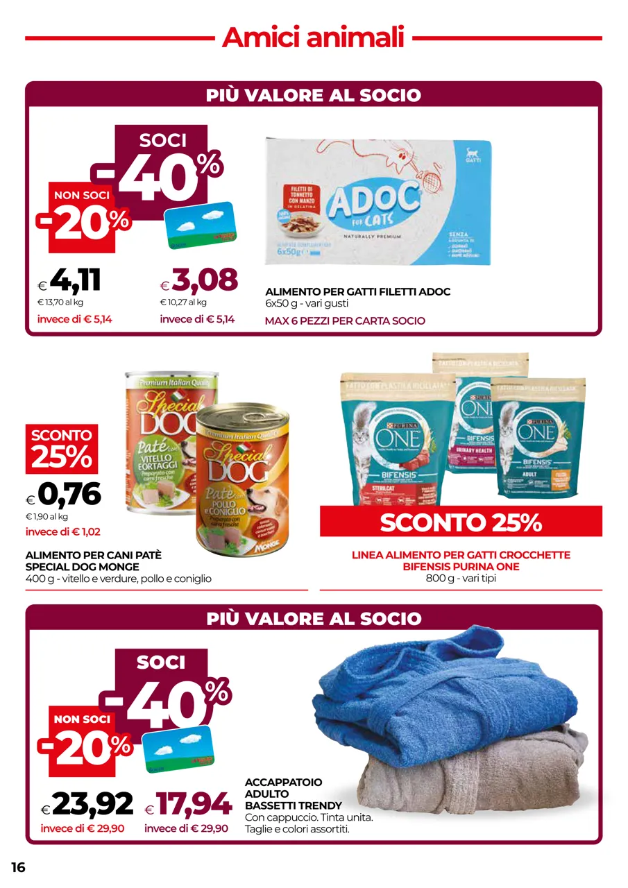Pagina 16