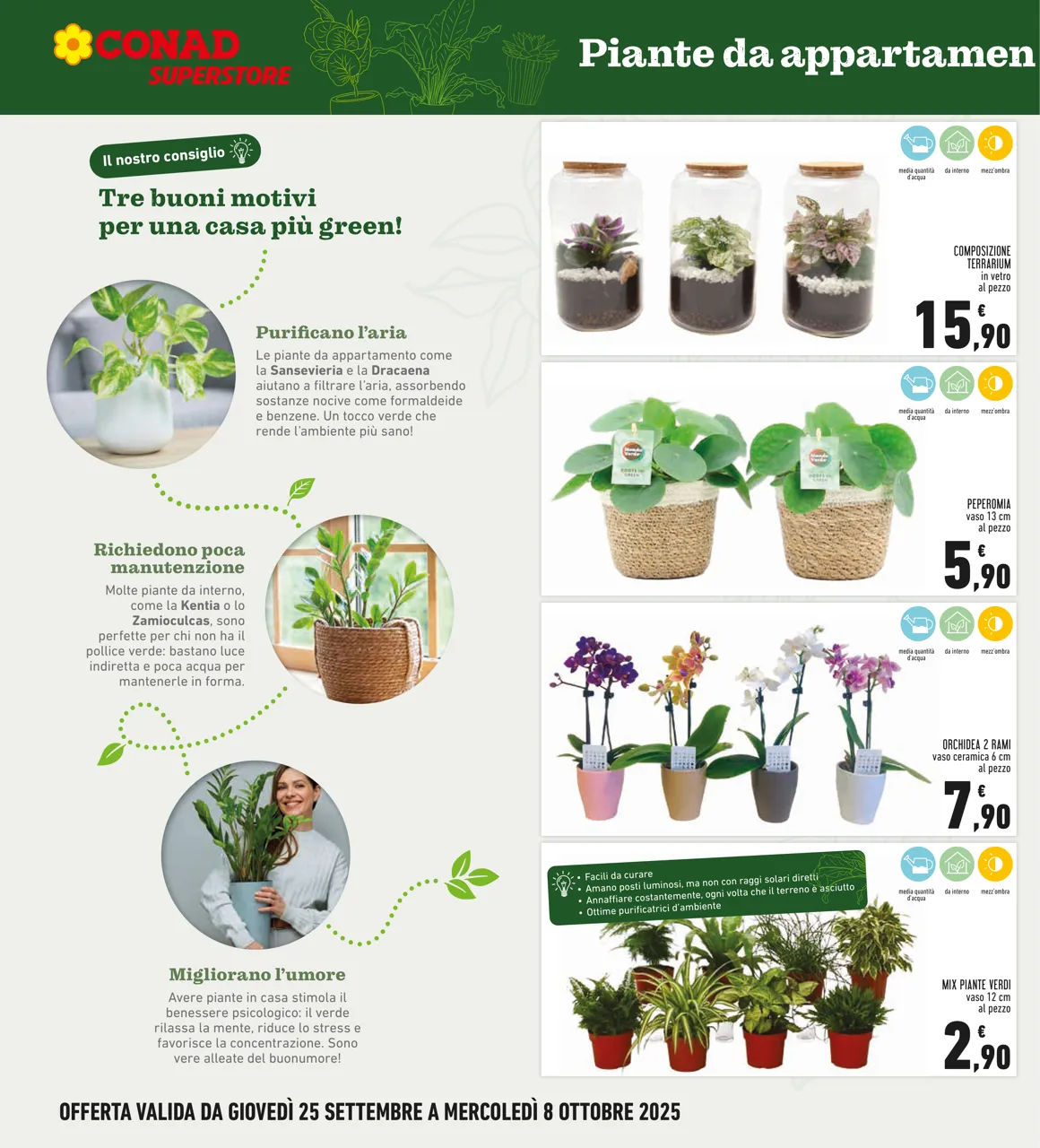 Pagina 6