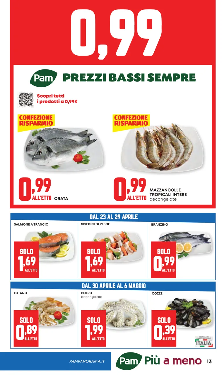 Pagina 13