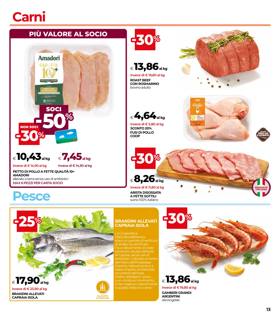 Pagina 13