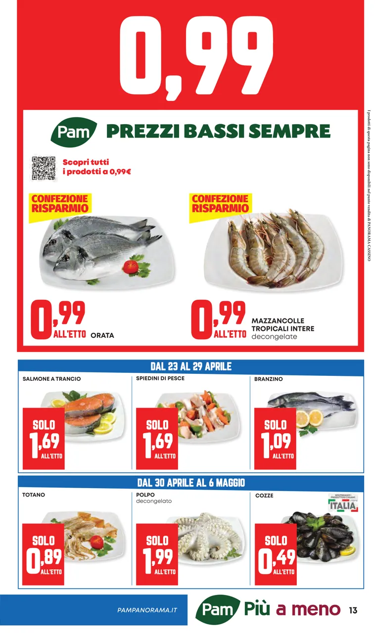 Pagina 13