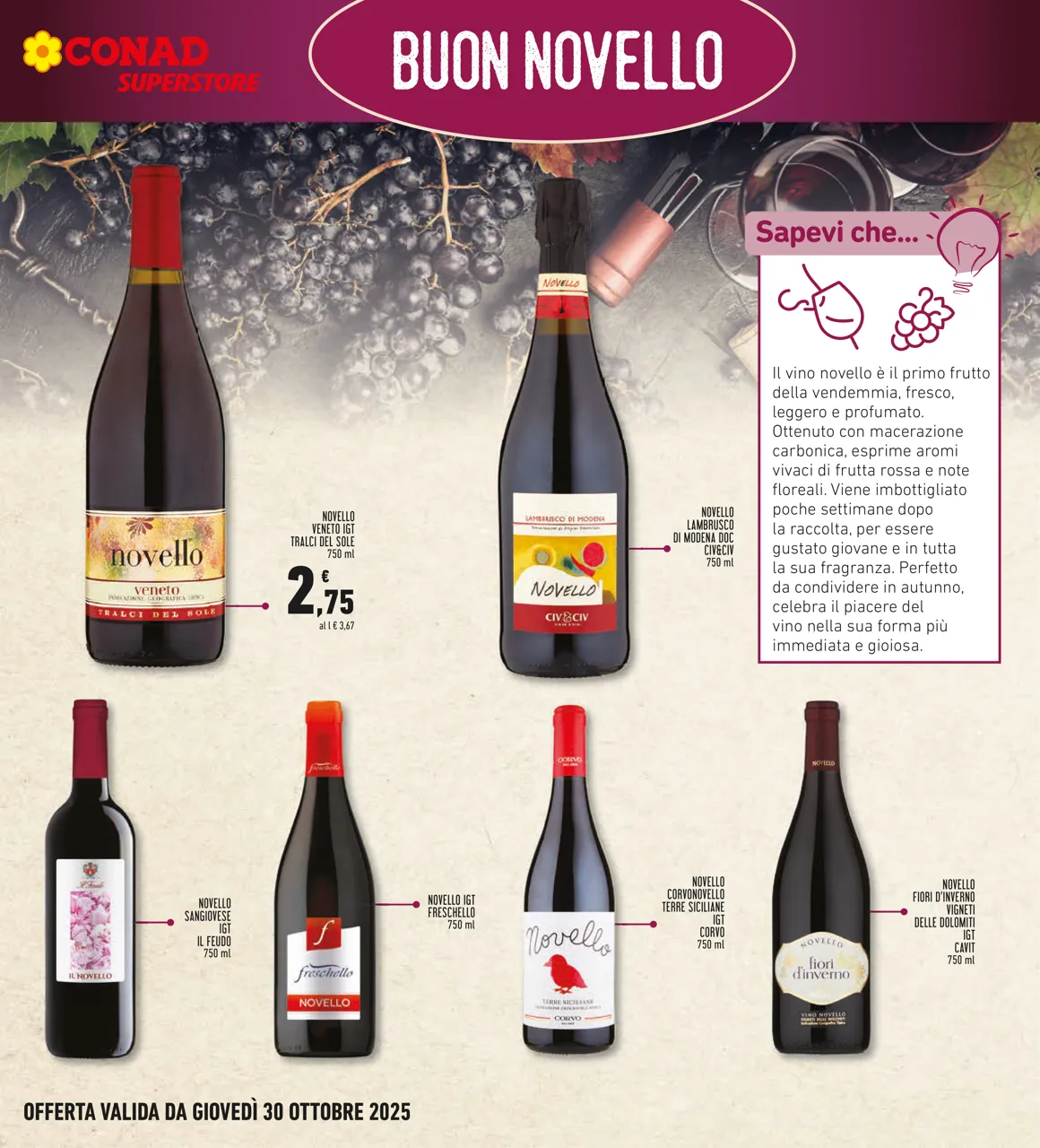 Pagina 23