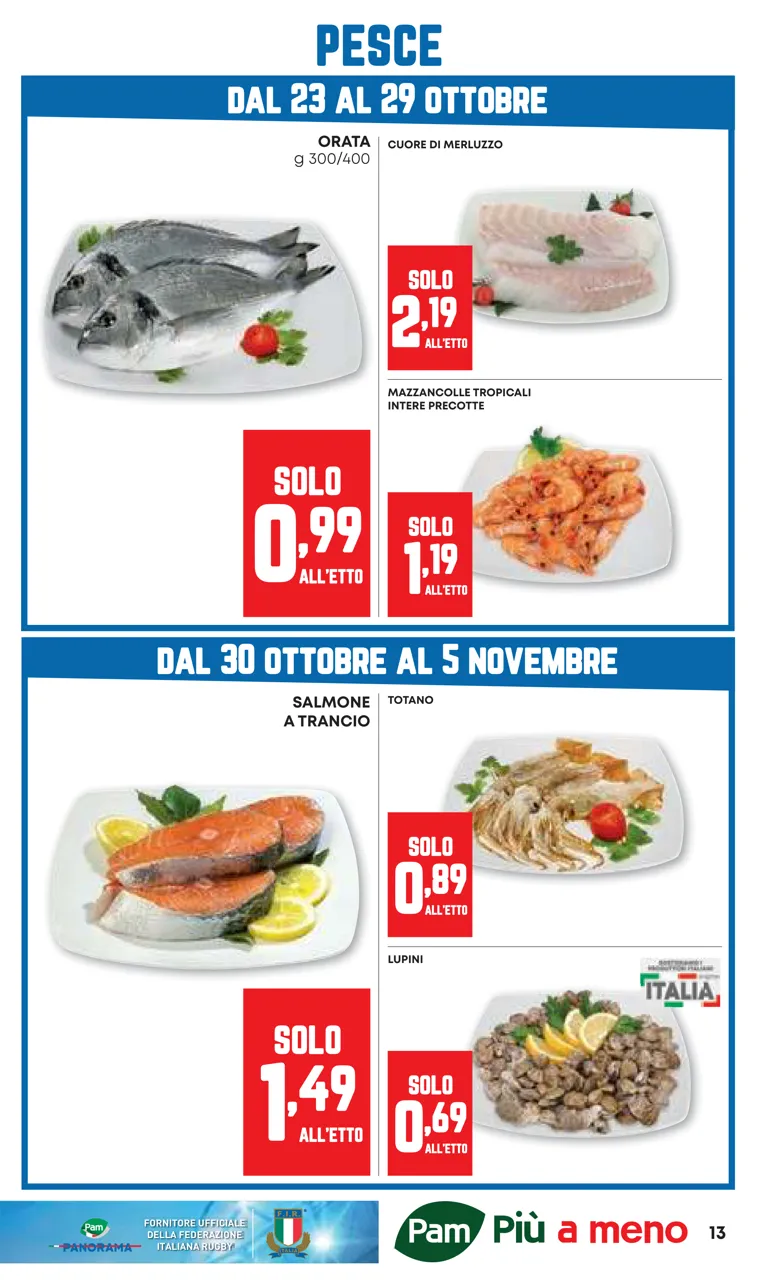 Pagina 13