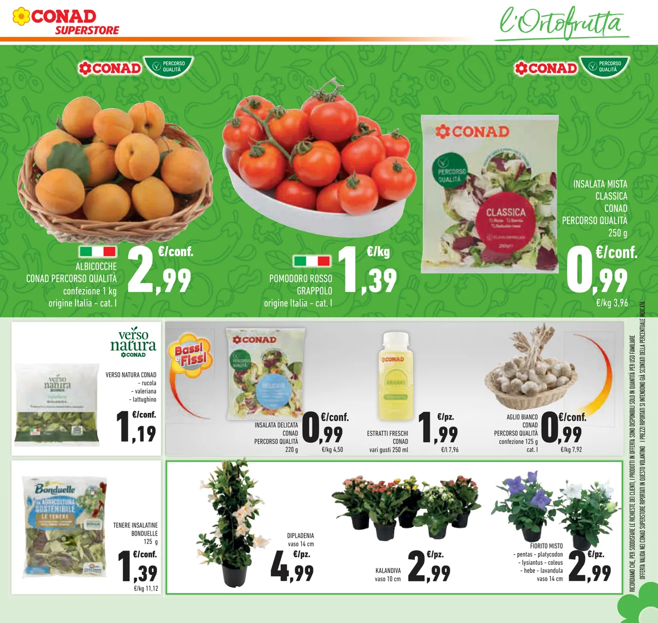 Pagina 13