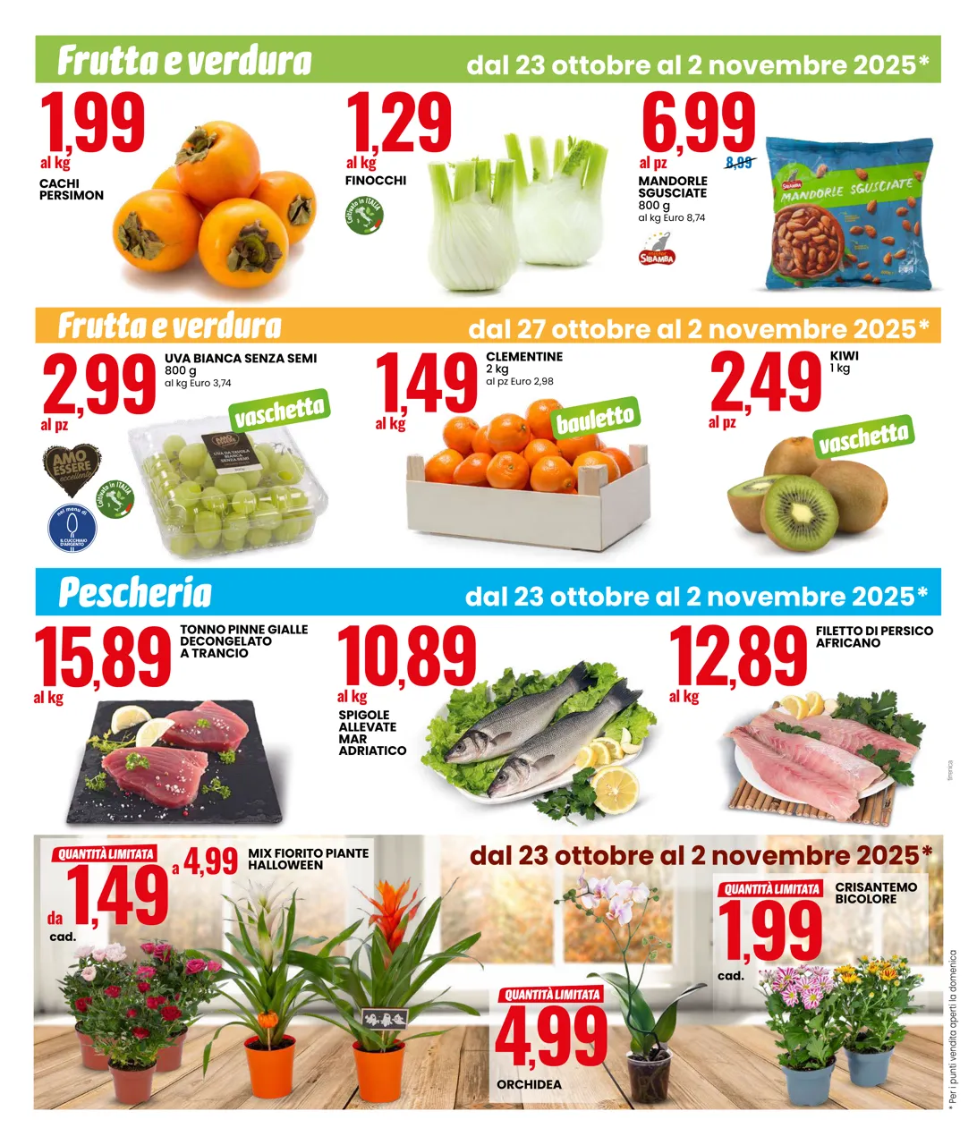 Pagina 12