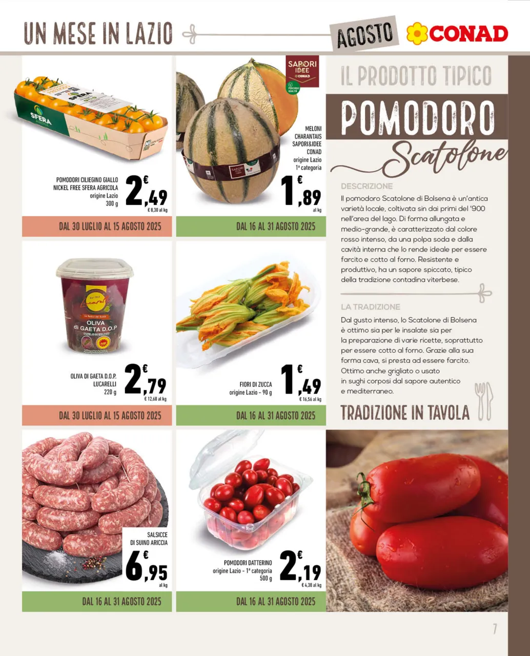 Pagina 7