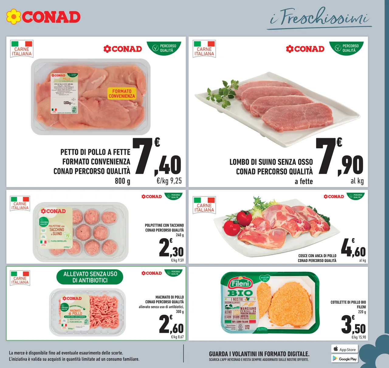 Pagina 5