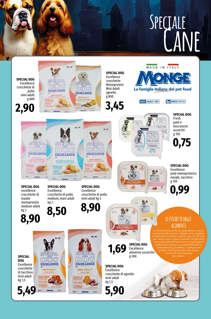 Pagina 13