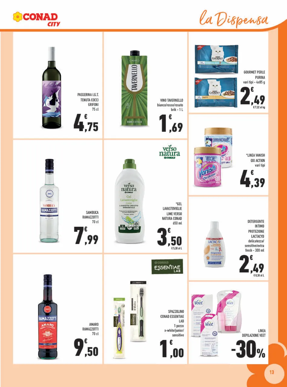 Pagina 13