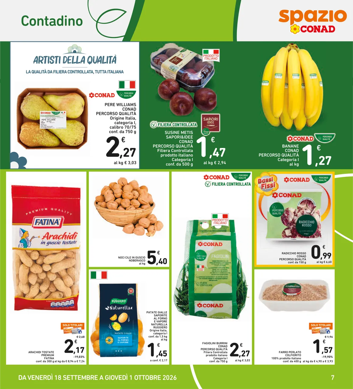 Pagina 7
