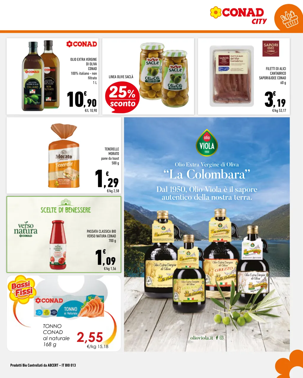 Pagina 13