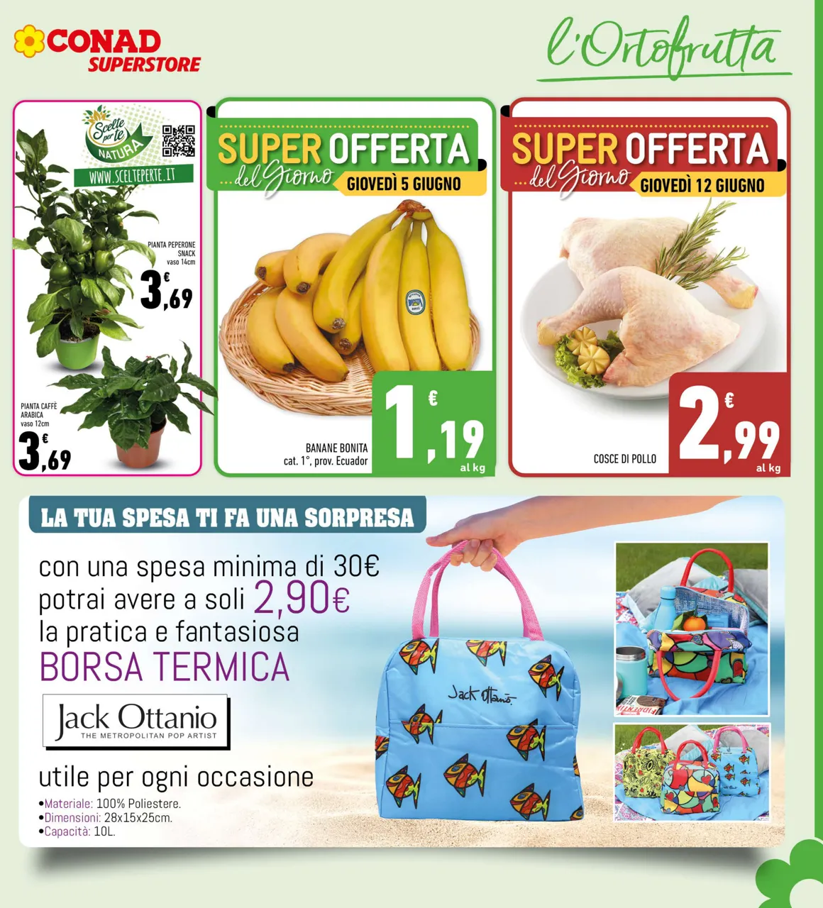 Pagina 7