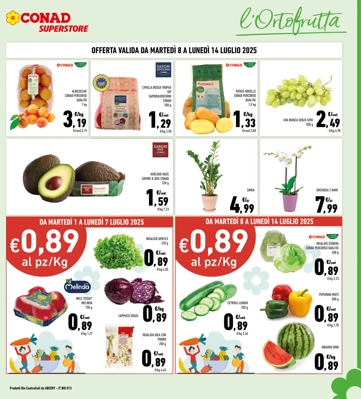 Pagina 3