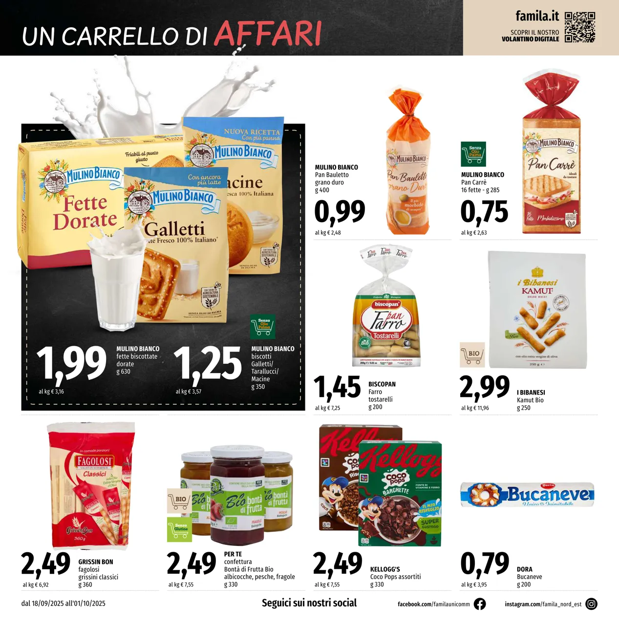 Pagina 12