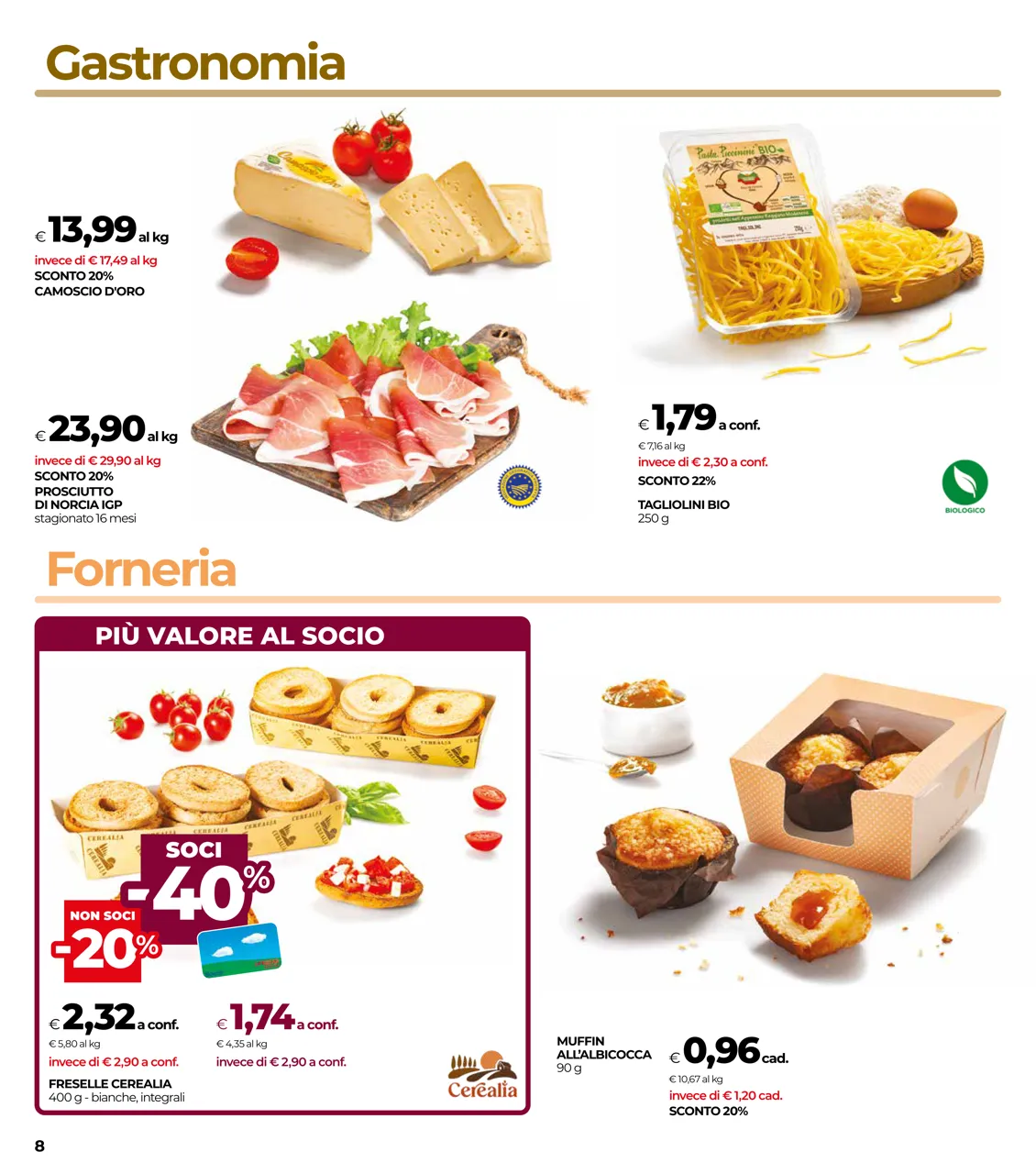 Pagina 8