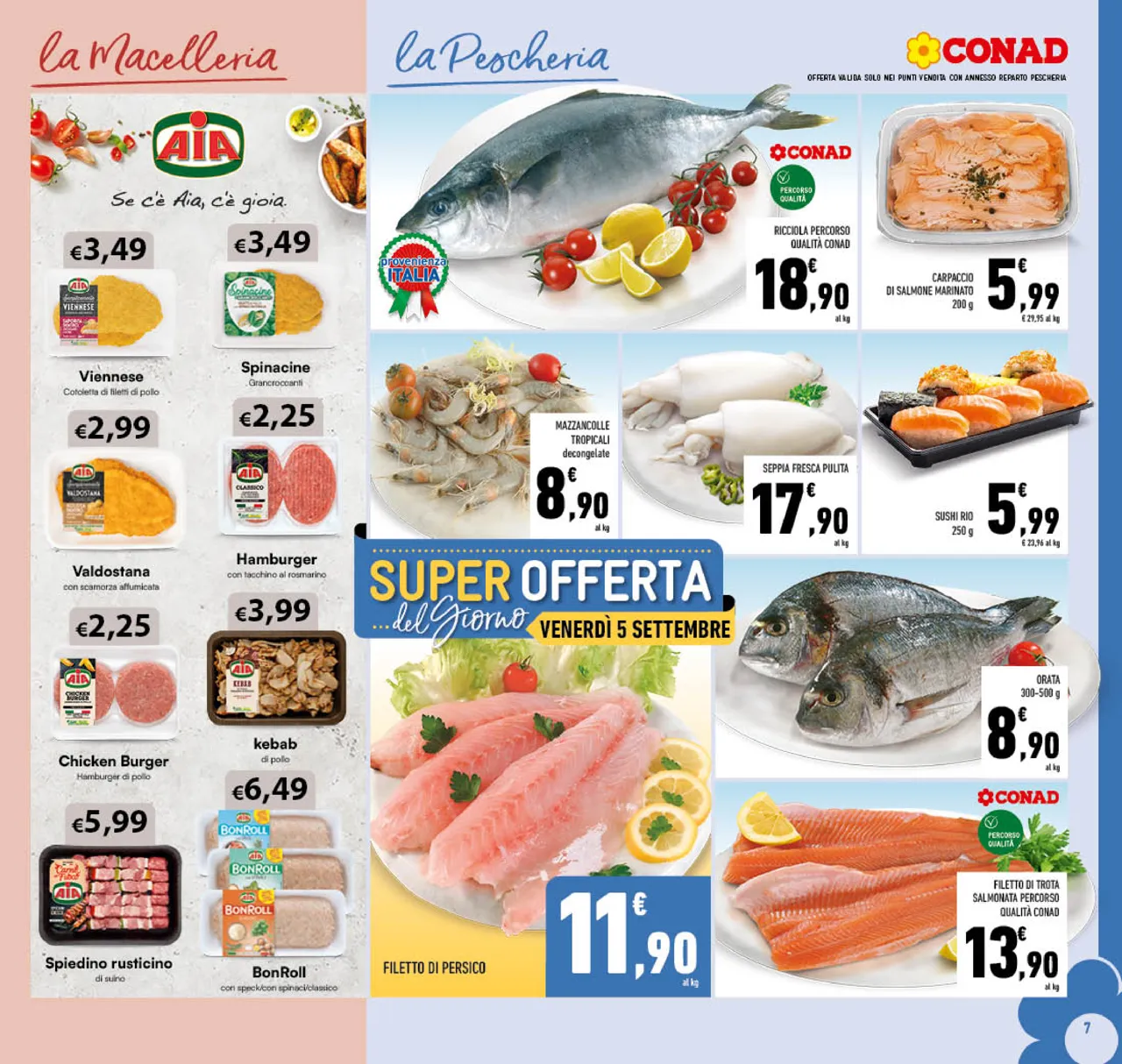 Pagina 7