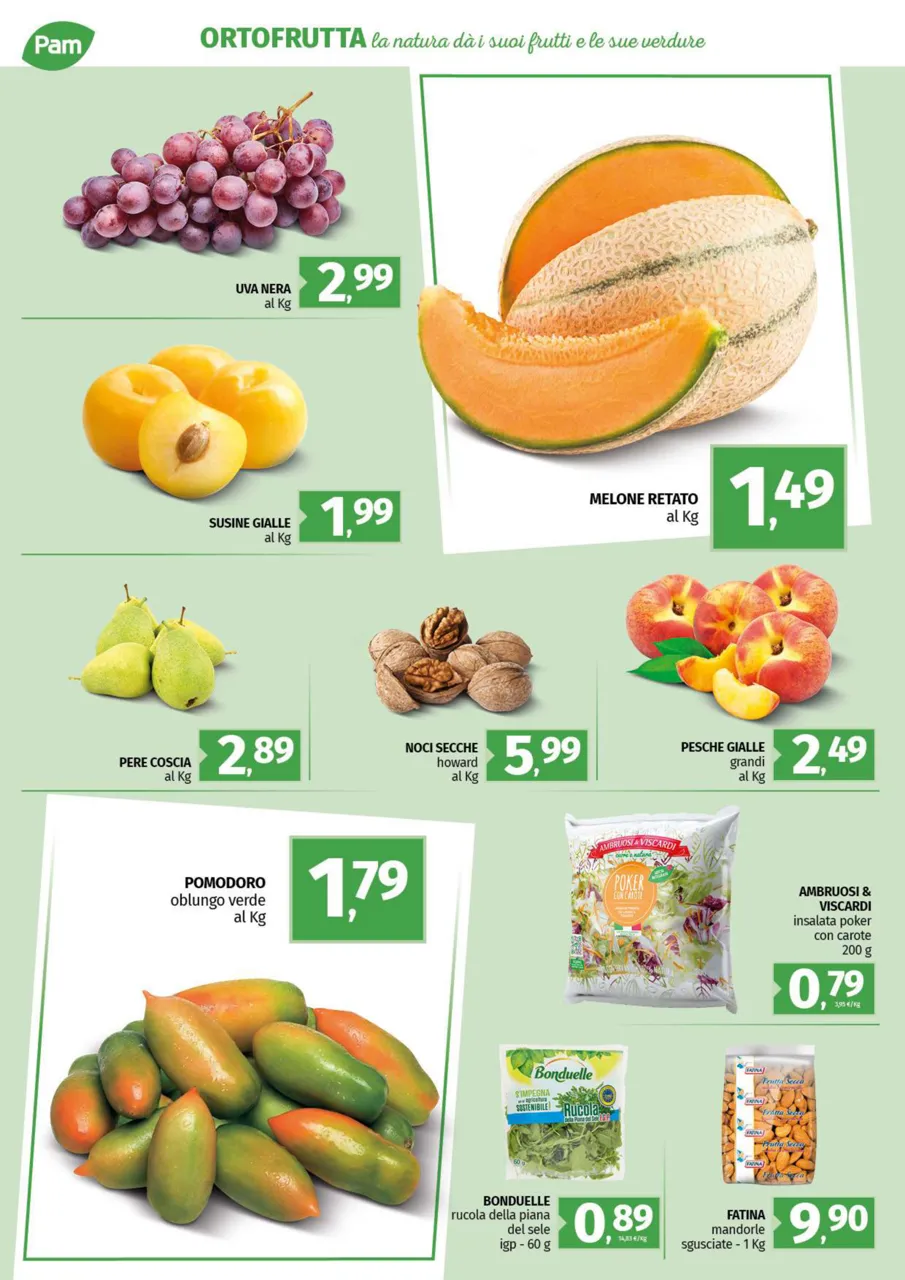 Pagina 7